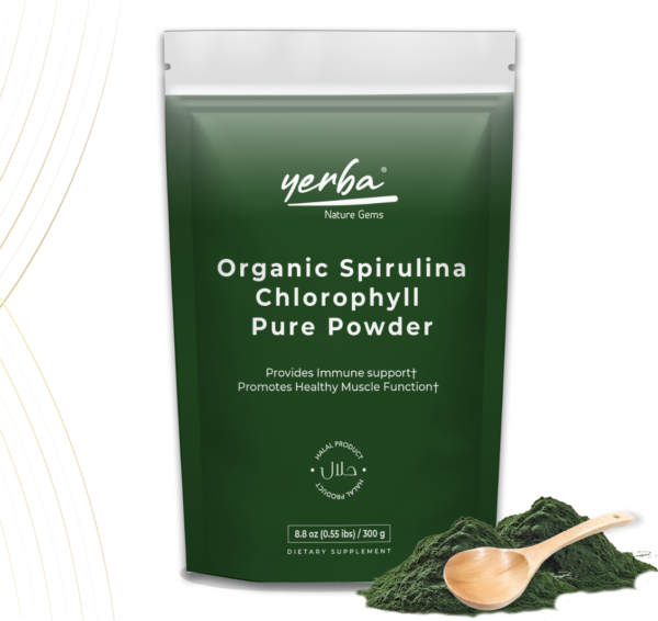 Organic Spirulina Chlorophyll Pure Powder